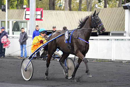 Actualités Hippiques